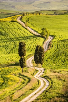Tuscany Prints: Pienza, Val d Orcia, Tuscany