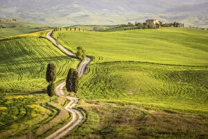 Images Dated 5th August 2016: Pienza, Val d Orcia, Tuscany