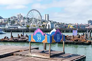 Fishermans Wharf Prints: Pier 39 Fishermans Wharf, San Francisco, California, USA