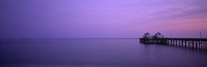 Mauve Prints: Pier, Malibu