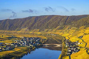Images Dated 12th May 2021: Piesport, Mosel valley, Rhineland-Palatinate, Germany