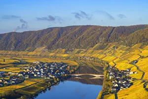 Images Dated 12th May 2021: Piesport, Mosel valley, Rhineland-Palatinate, Germany