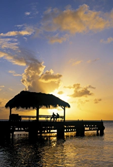 Tobago Prints: Pigeon Point