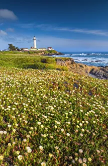 Safety Prints: Pigeon Point Lighthouse, near Pescadero, California, USA