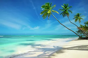 Trinidad Prints: Pigeon Point Tropical Beach, Tobago, Republic of Trinidad and Tobago