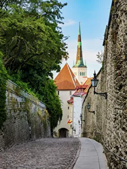 Cobbled Street Prints: Pikk jalg street, Old Town, Tallinn, Estonia