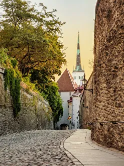 Cobbled Street Prints: Pikk jalg street at sunrise, Old Town, Tallinn, Estonia