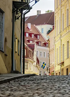 Cobbled Street Prints: Pikk Street, Old Town, Tallinn, Estonia