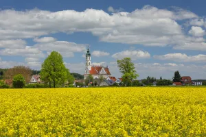Upper Swabia Prints: Pilgrimage church of Steinhausen
