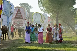 Pilgrims belonging to the Hermandad (Brotherhood) de Triana on their way to El Rocio