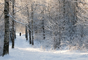Pilgrims on the way to the Bogorodichno-Uspenskij Monastery, Tikhvin, Leningrad region