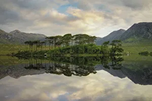 Pine Island on the Derryclare Lough lake, Connemara National Park, Connemara, County Galway, Connacht province, Inagh Valley, Ireland, Europe