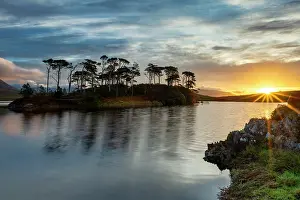 Pine Trees Prints: Pine Island at Sunrise, Derryclare Lough, County Galway, Ireland