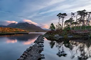 Pathway Prints: Pine Island at Sunrise, Derryclare Lough, County Galway, Ireland