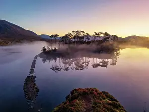 Pathway Prints: Pine Island at Sunrise, Derryclare Lough, County Galway, Ireland