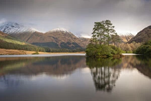 Pine tree island in a Scottish Loch, Highland, Scotland