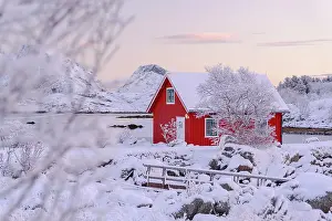 Lifestyles Prints: Pink arctic sunrise over a lone fisherman hut in the frozen snowy landscape along a fjord