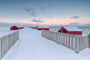 North Pole Prints: Pink light and snow surround the typical fishermen houses called Rorbu at Eggum Vestvagoy Island Lofoten Islands Norway