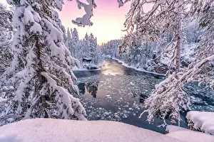 Day Dreaming Prints: Pink sunrise over snowy trees with Myllykoski frozen rapids and old mill on background