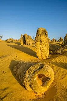 Images Dated 27th January 2017: The Pinnacles (Pinnacle Desert), Nambung National Park, Cervantes, Western Australia