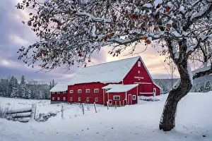 Snow Flurry Prints: Pioneer Farm at sunset in winter, Columbia, New Hampshire, USA