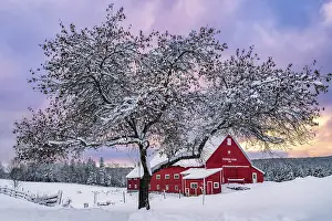 Snow Flurry Prints: Pioneer Farm at sunset in winter, Columbia, New Hampshire, USA