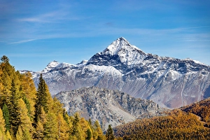 Pizzo Scalino Prints: Pizzo Scalino framed in autumnal colours. Valmalenco, Valtellina, Lombardy, Italy