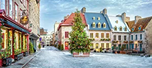 Notre Dame Prints: Place Royale with Christmas Tree, Snow and Ice, Old Quebec City, Quebec, Canada