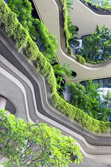 5 Star Hotel Prints: Plants on balconies of Parkroyal Collection Pickering Hotel, Singapore