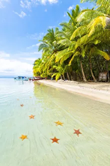 Starfish Prints: Playa Estrella (Starfish beach), Colon island, Bocas del Toro province, Panama