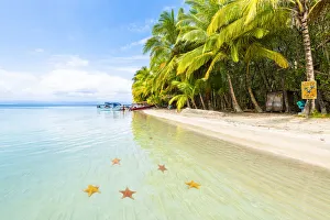 Playa Estrella (Starfish beach), Colon island, Bocas del Toro province, Panama