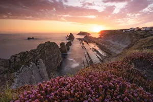 Flowery Prints: Playa de la Arnia, municipality of Santander, Cantabria province, Spain