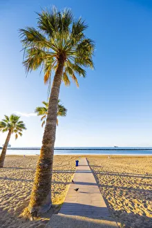 Images Dated 8th October 2021: Playa de las Teresitas, Santa Cruz de Tenerife, Tenerife, Canary Islands, Spain