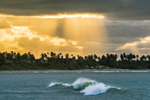Images Dated 30th March 2017: Playa Moron, Las Terrenas, Samana Peninsula, Dominican Republic