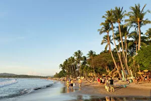 Rain Forest Collection: Playa Tamarindo, Peninsula de Nicoya, Guanacaste, Costa Rica, Latin America