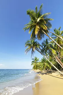 Sandy Beach Collection: Playa Uva; Caribbean, Costa Rica, Latin America