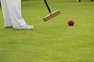 Playing croquet