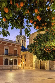Micalet Prints: Plaza del Arzobispo, Valencia, Valencian Community, Spain