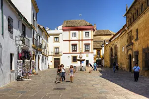 Plaza del Potro with Fuenta del Potro and the Museum of Fine Arts, Cordoba, Andalusia