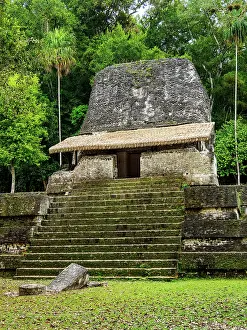 Step Prints: Plaza of the Seven Temples, Tikal, Peten Department, Guatemala