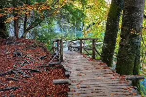 Walkways Prints: Plitvice lakes in autumn. Plitvice Jezera National Park