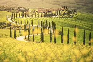 Podere Prints: Podere Baccoleno, Asciano, Crete senesi, Tuscany, Italy
