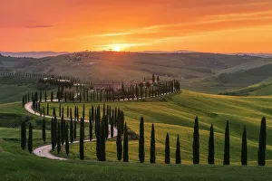 Crop Gallery: The Podere Baccoleno. Crete Senesi, Tuscany, Italy