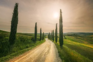 Senesi Prints: Podere Baccoleno in spring during a hazy afternoon, Crete Senesi, Tuscany, Italy