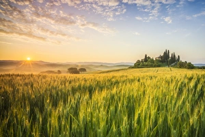 Agriturismo Gallery: Podere Belvedere, San Quirico d Orcia, Val d Orcia, Tuscany, Italy