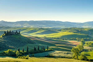 Images Dated 30th August 2019: Podere Belvedere, San Quirico d Orcia, Val d Orcia, Tuscany, Italy, Europe