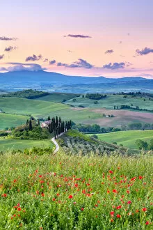 Images Dated 30th August 2019: Podere Belvedere at sunrise, San Quirico d Orcia, Val d Orcia, Tuscany