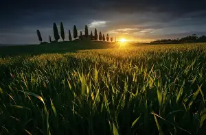 Rolling Hills Prints: The Podere I Cipressini getting the first light of the day during a spring sunrise