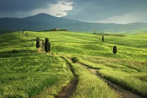 Crop Prints: The Podere Terrapille, also known as the Gladiator House Val d'Orcia, Tuscany, Italy