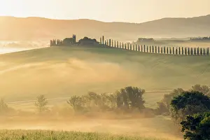 Cypress Trees Prints: Poggio Covili and avenue of cypress trees at dawn